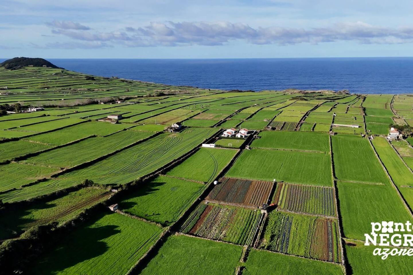 Wine House By Ponta Negra Azores Altares Buitenkant foto